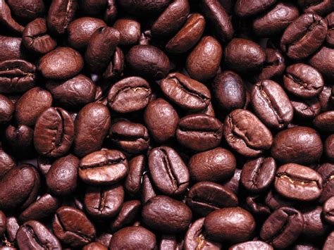 Coffee bean - Best no-frills coffee beans: Grind, from £8. Best high-quality coffee beans: Assembly Coffee, from £10. Best carbon negative coffee beans: Kiss The Hippo, from £10.50. Best balanced coffee: Redemption Coffee Roasters, from £8.90. Most versatile coffee beans: Origin Coffee, from £8.50. Best for Colombian …